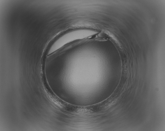 X0000073700399200608241422