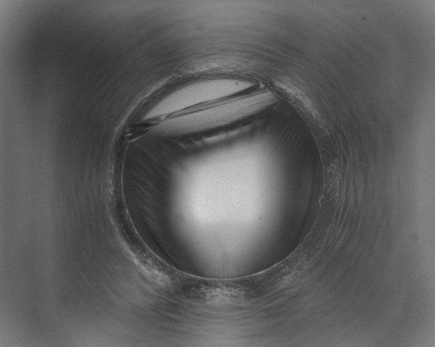 X0000073700400200608241422