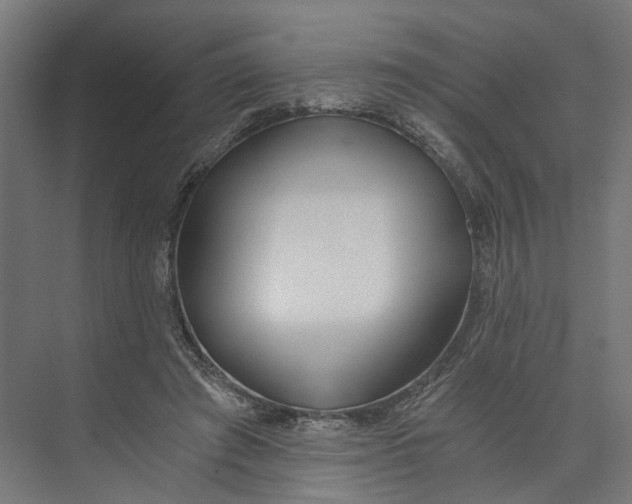 X0000073700401200608241422