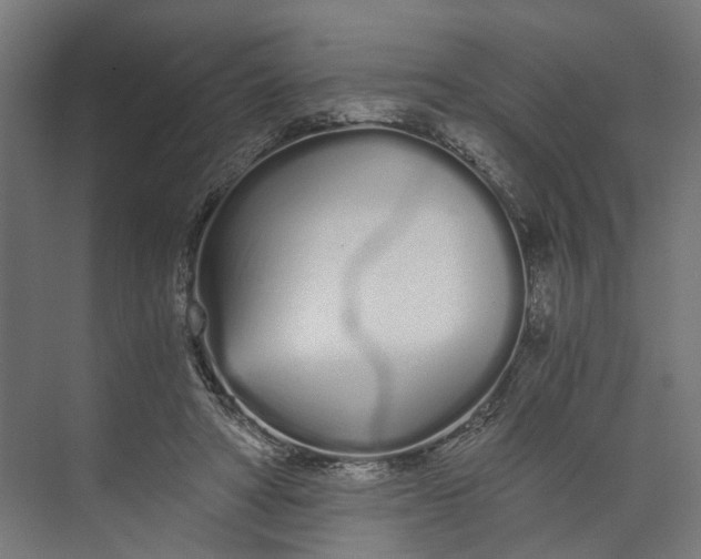 X0000073700402200608241422