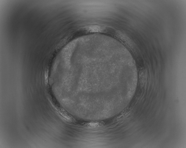 X0000073700406200608241422