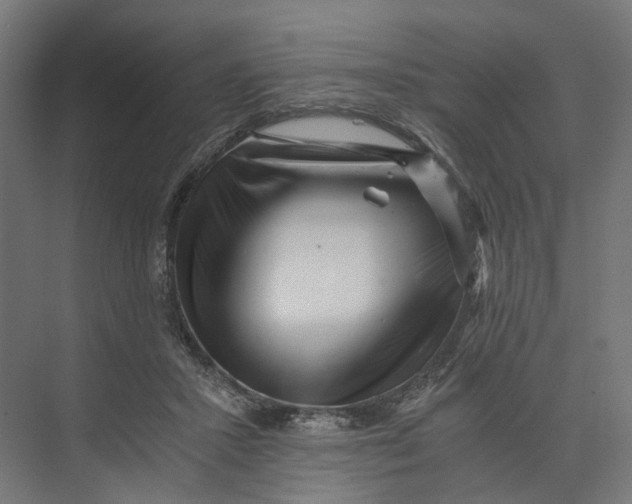 X0000073700407200608241422