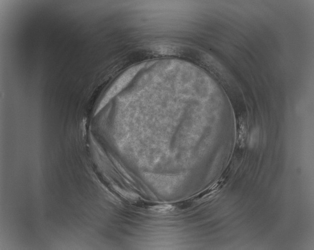 X0000073700410200608241422