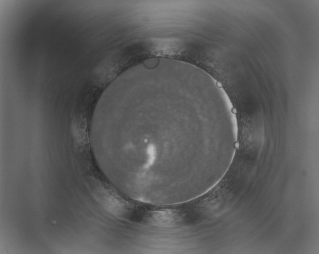 X0000073700411200608241422