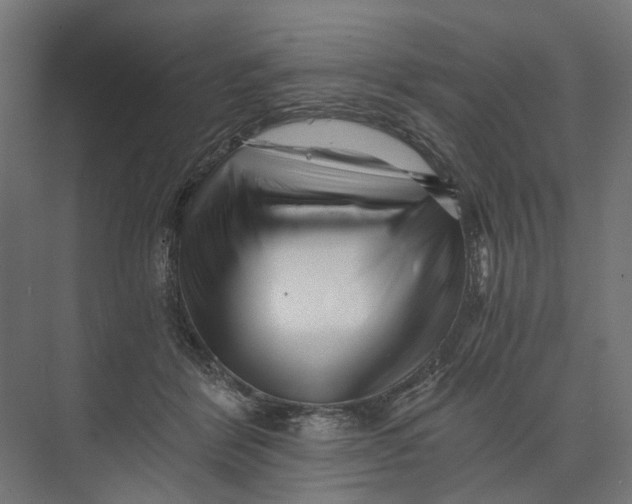 X0000073700412200608241422