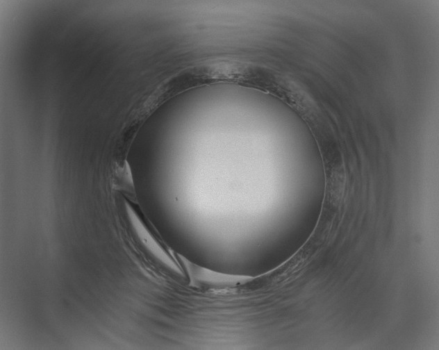 X0000073700413200608241422