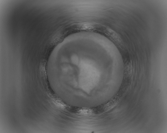 X0000073700415200608241422