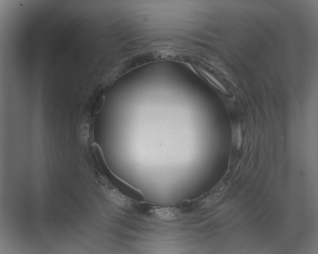 X0000073700417200608241422