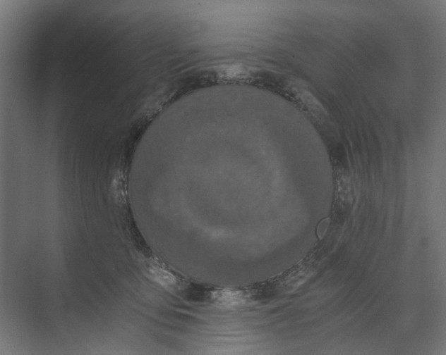 X0000073700419200608241422