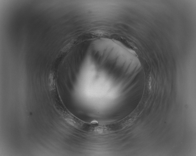 X0000073700420200608241422