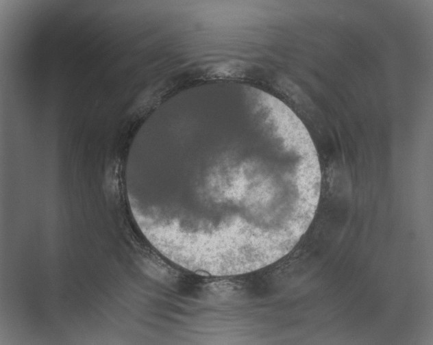 X0000073700423200608241422