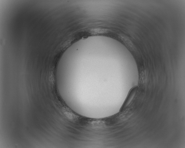 X0000073700426200608241422