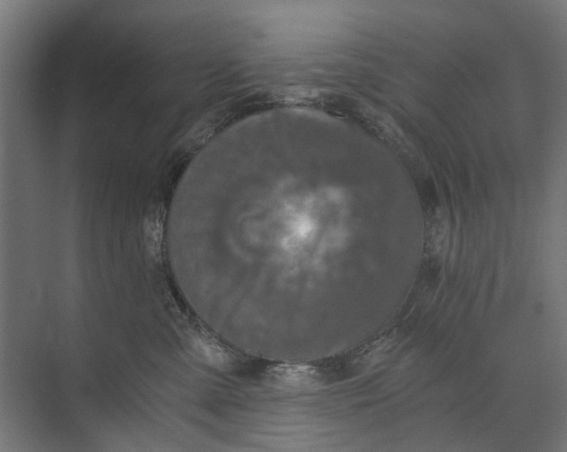 X0000073700427200608241422