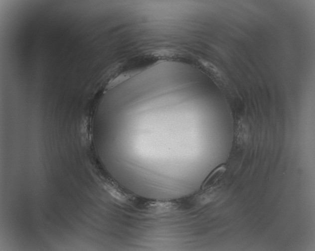 X0000073700428200608241422