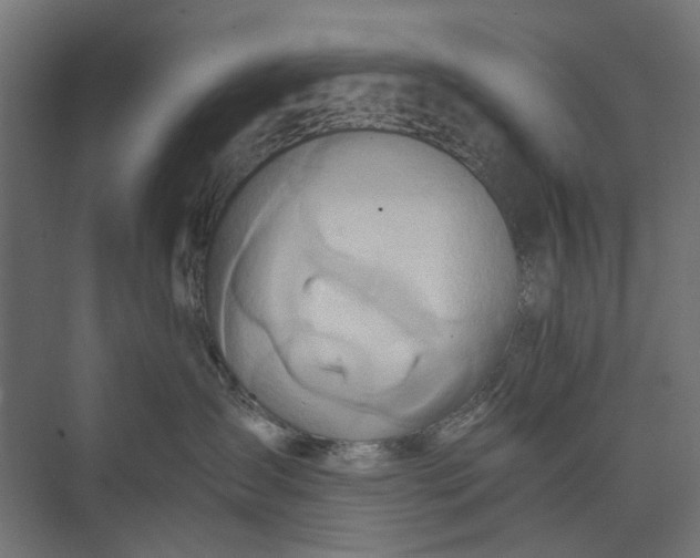 X0000073700431200608241422