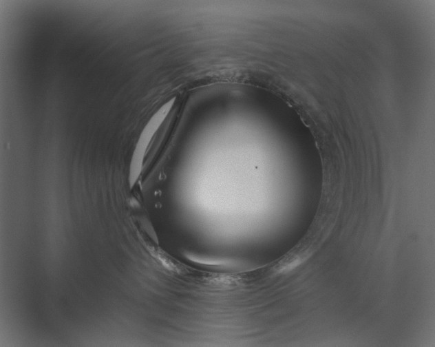 X0000073700432200608241422