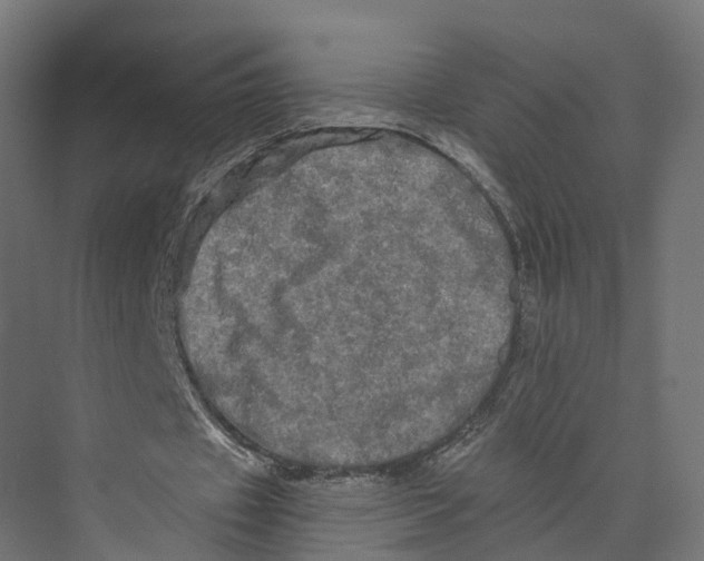 X0000073700433200608241421