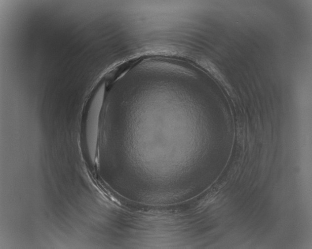 X0000073700434200608241421