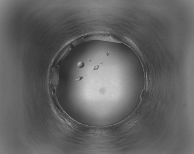 X0000073700435200608241421