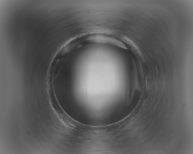 X0000073700436200608241421