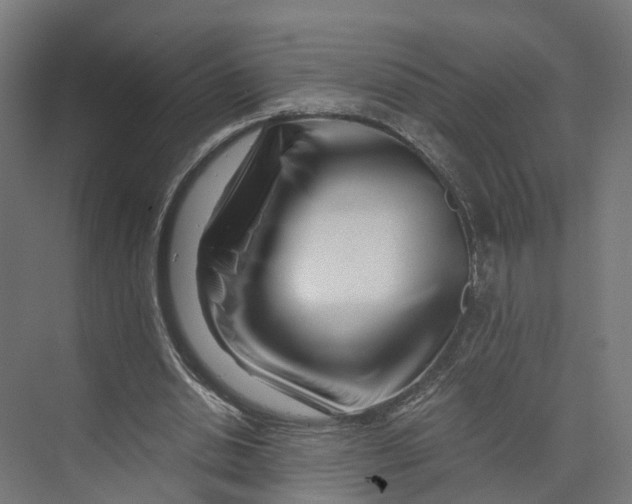 X0000073700438200608241421