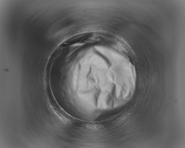 X0000073700439200608241421