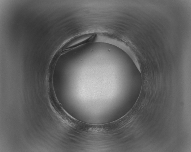 X0000073700440200608241421