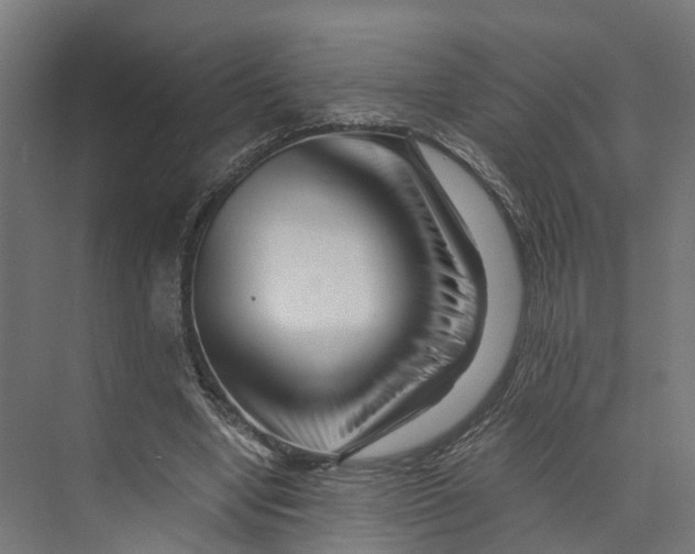 X0000073700442200608241421