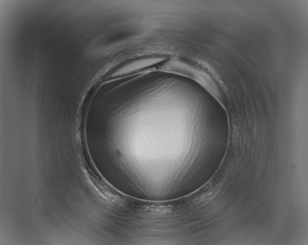 X0000073700443200608241421