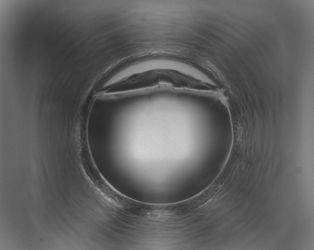 X0000073700444200608241421