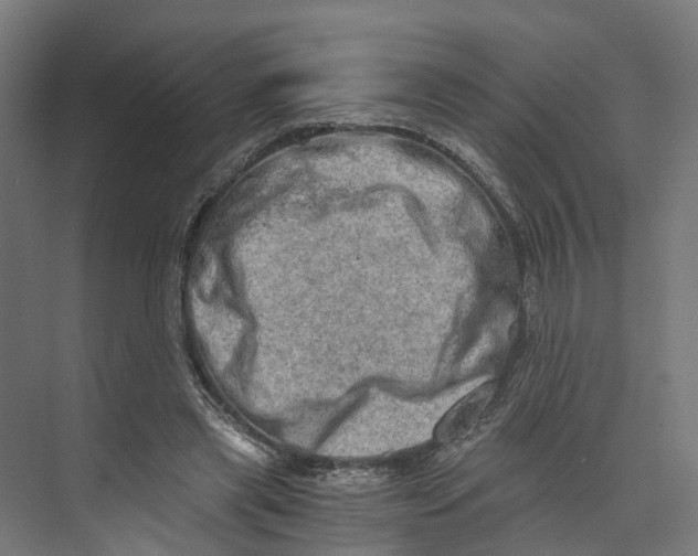 X0000073700445200608241421