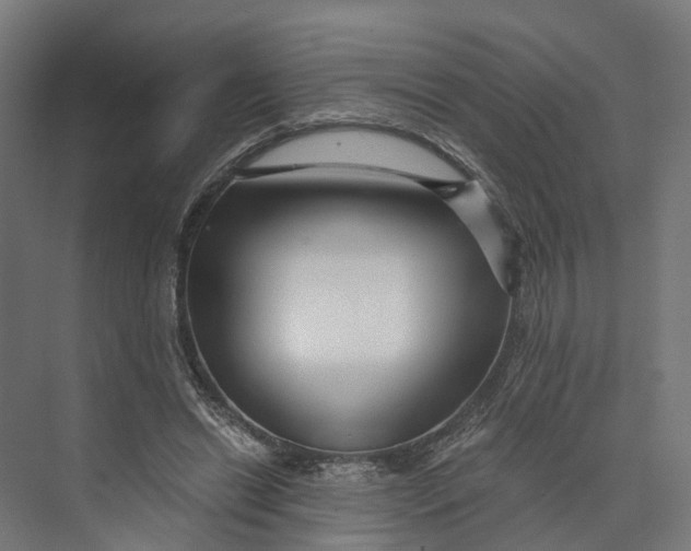 X0000073700446200608241421