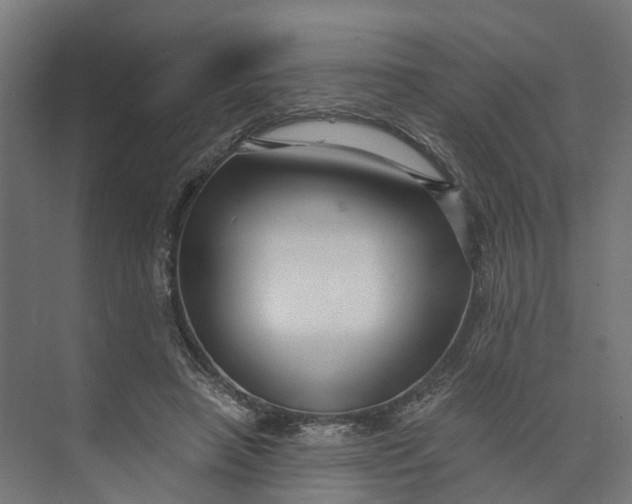 X0000073700450200608241421