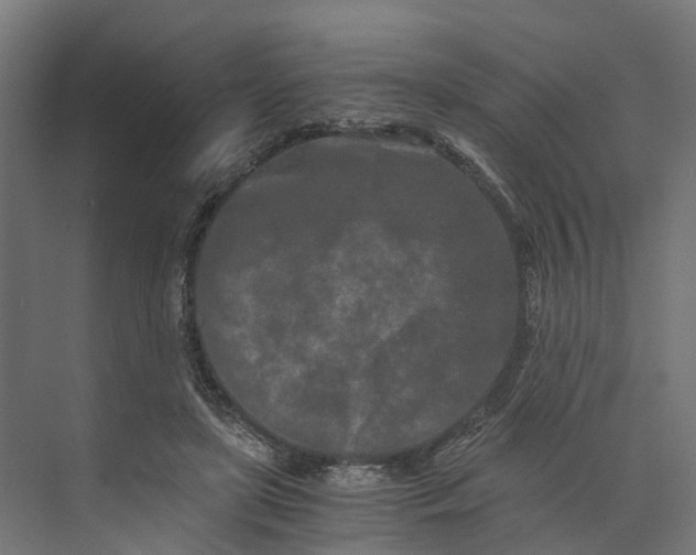 X0000073700451200608241421