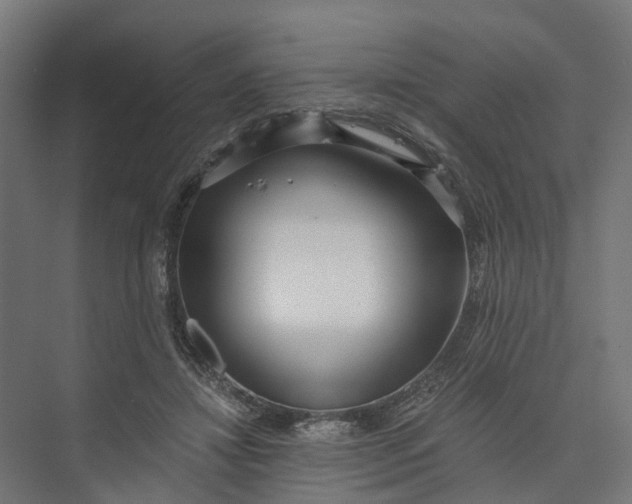 X0000073700452200608241421