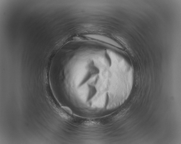 X0000073700453200608241421