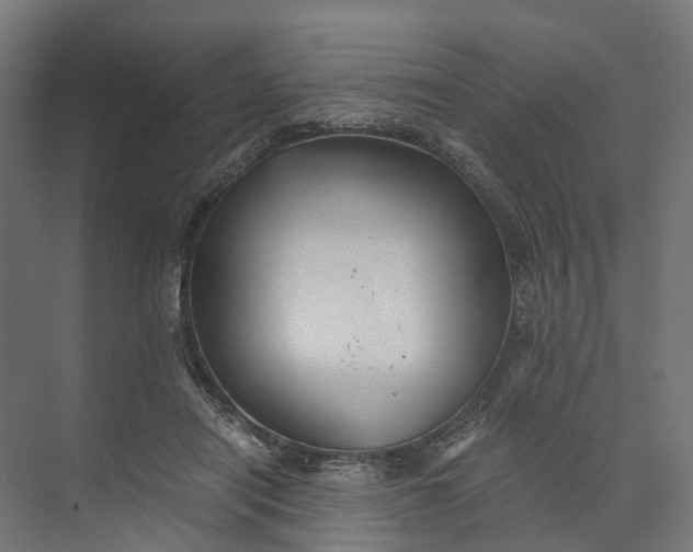 X0000073700454200608241421