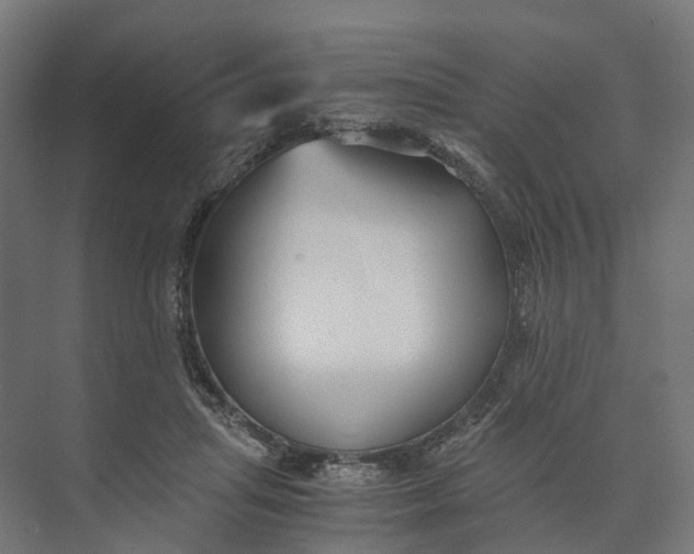 X0000073700455200608241421