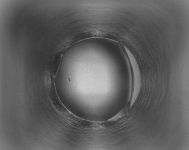 X0000073700456200608241421