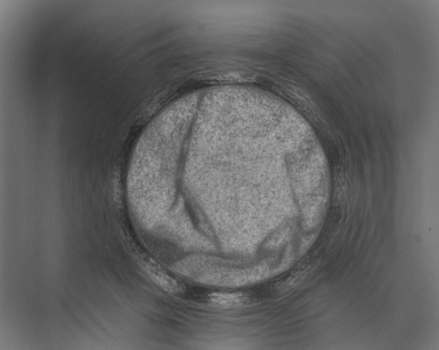 X0000073700457200608241421