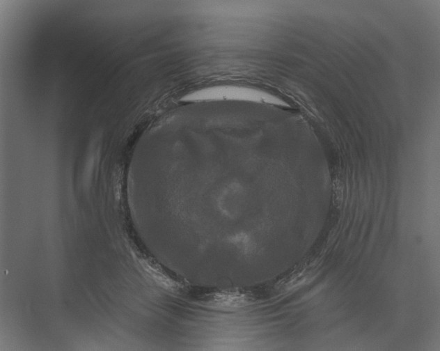 X0000073700458200608241421