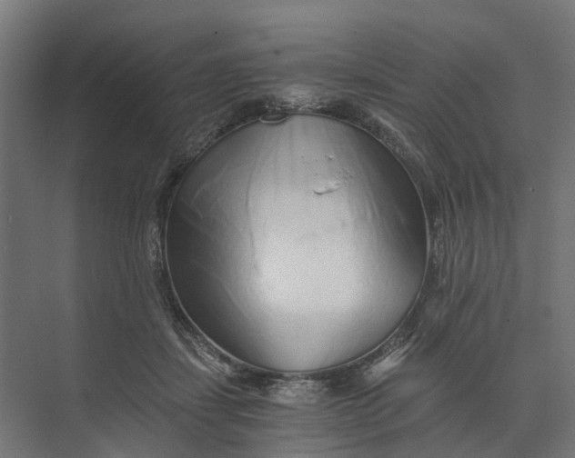 X0000073700459200608241421