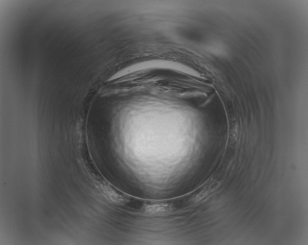 X0000073700461200608241421