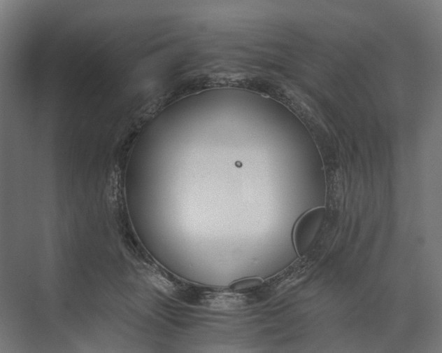 X0000073700463200608241421