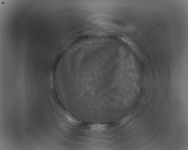 X0000073700465200608241422