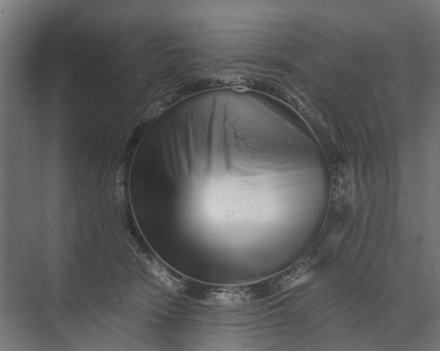 X0000073700466200608241422