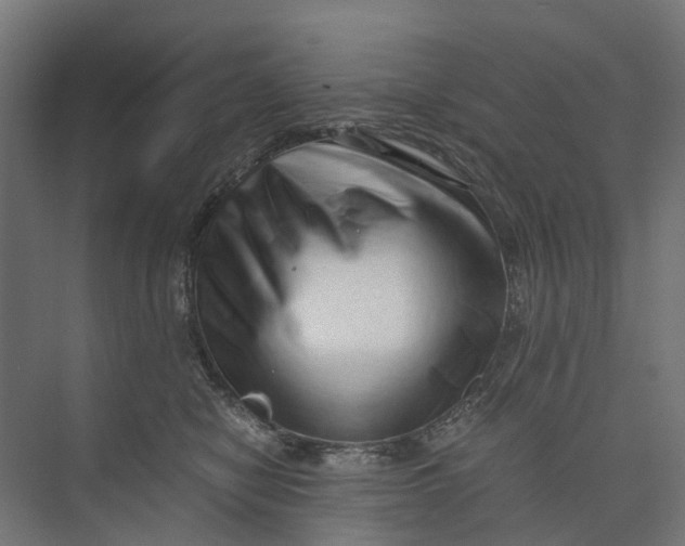 X0000073700470200608241422