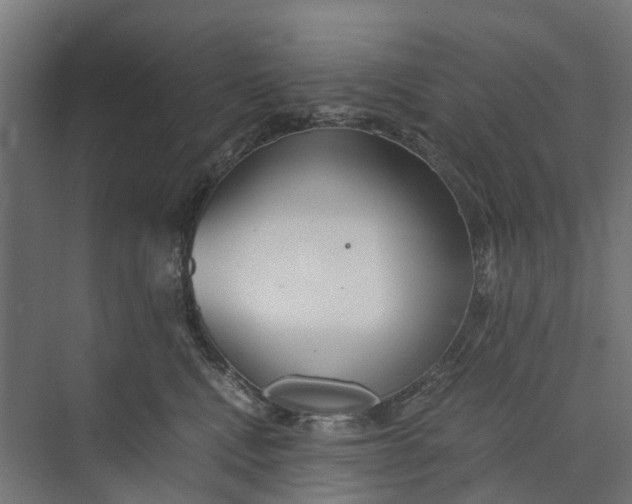 X0000073700472200608241422