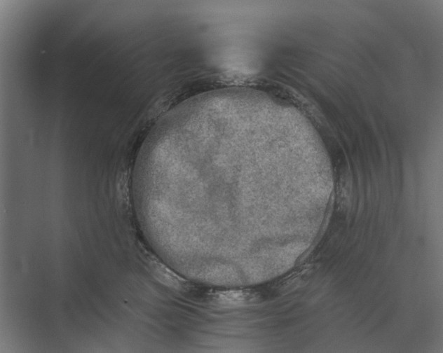 X0000073700473200608241422