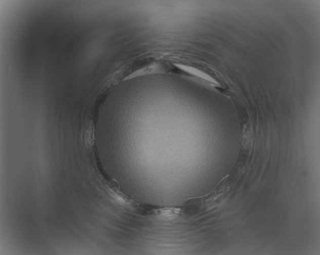 X0000073700474200608241422